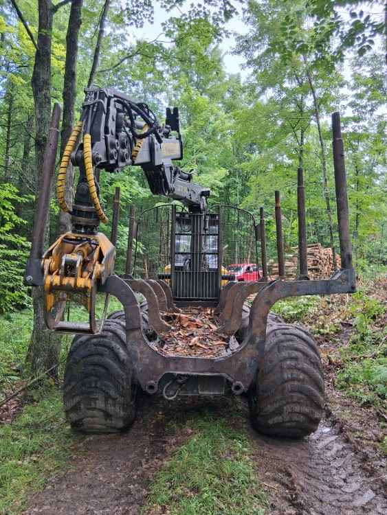 2006 Ponsse Buffalo Forwarder