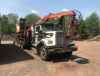 Western Star Truck with Serco 125 Loader &amp; Siiro 60&quot; Slasher