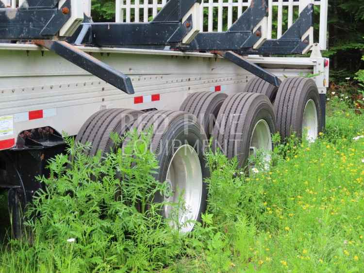 Reitnouer Bigg Bubba