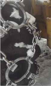 Babac 30.5 x 32 5/8" Bear Paw/Ice Combo Chains ***SOLD***