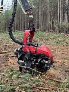 C144 Harvesting Head