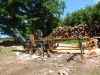 Cord King CS16-30 Model 36 Firewood Processor ***SOLD***