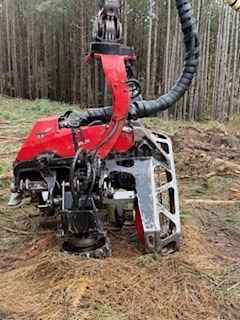 C144 Harvesting Head