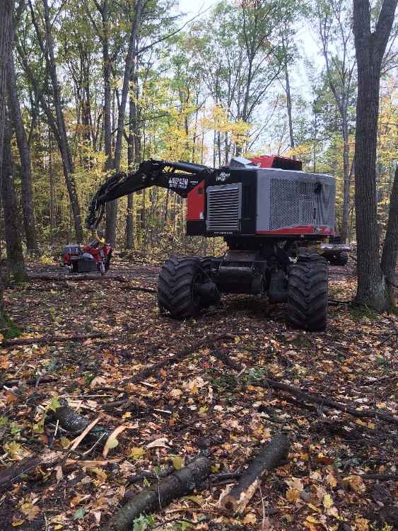 TimberPro TF830-B Harvester ***SOLD*** | Minnesota | Forestry Equipment ...