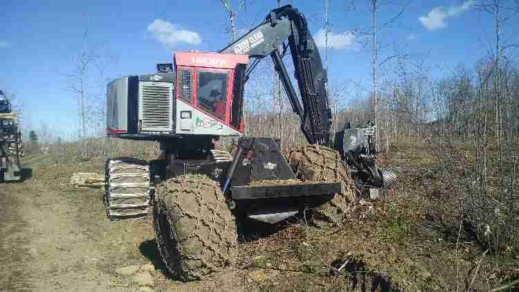 Timberpro TB630-B Harvester | Minnesota | Forestry Equipment Sales